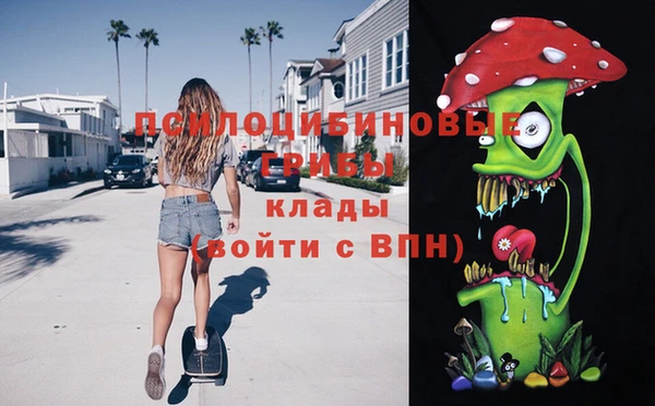 прущая мука Арсеньев