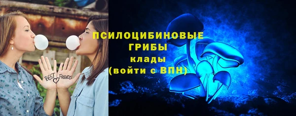 прущая мука Арсеньев