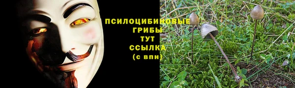 дживик Армянск