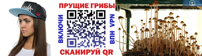 Псилоцибиновые грибы Magic Shrooms  что такое   Олёкминск 
